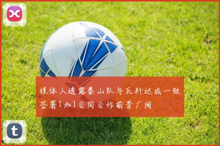 媒体人透露泰山队与瓦科达成一致签署1加1合同合作前景广阔