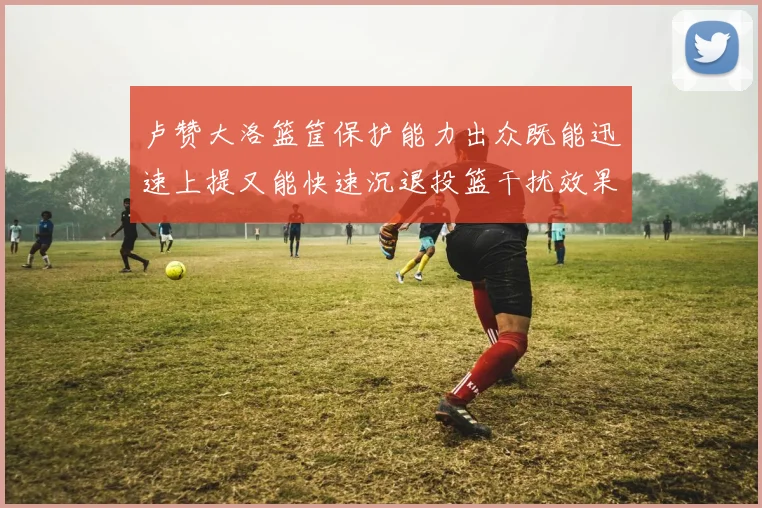 卢赞大洛篮筐保护能力出众既能迅速上提又能快速沉退投篮干扰效果显著
